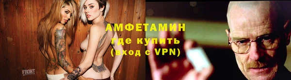 шишки Приозерск