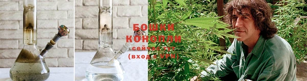 шишки Приозерск
